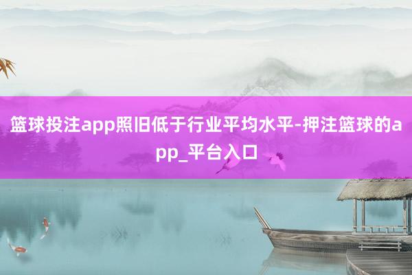 篮球投注app照旧低于行业平均水平-押注篮球的app_平台入口