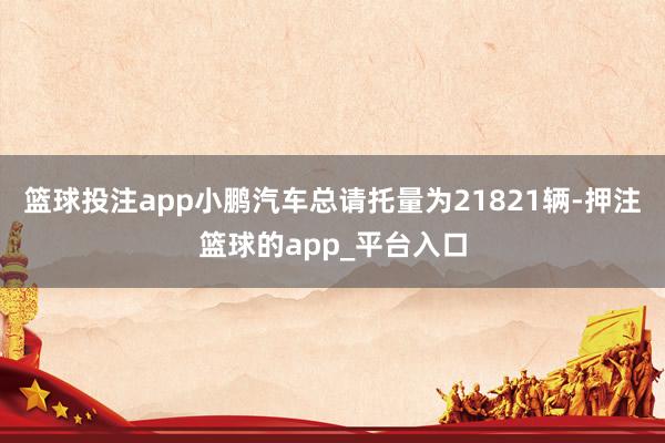 篮球投注app小鹏汽车总请托量为21821辆-押注篮球的app_平台入口