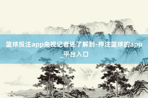 篮球投注app　　央视记者还了解到-押注篮球的app_平台入口