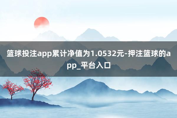 篮球投注app累计净值为1.0532元-押注篮球的app_平台入口