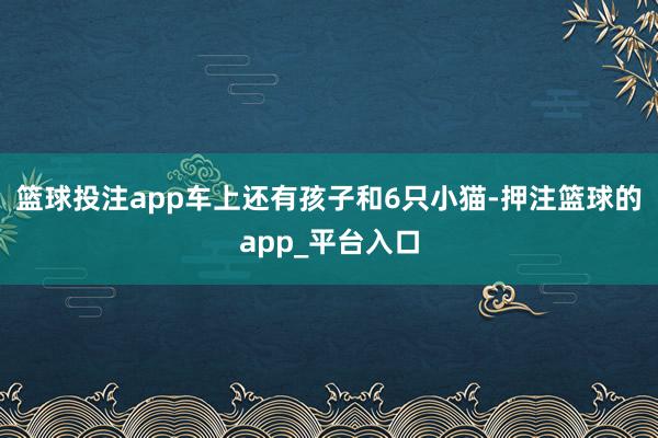 篮球投注app车上还有孩子和6只小猫-押注篮球的app_平台入口