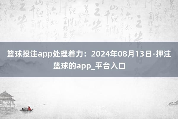 篮球投注app处理着力：2024年08月13日-押注篮球的app_平台入口