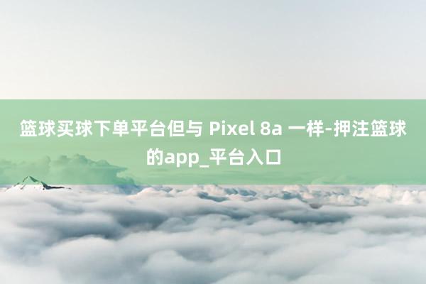 篮球买球下单平台但与 Pixel 8a 一样-押注篮球的app_平台入口