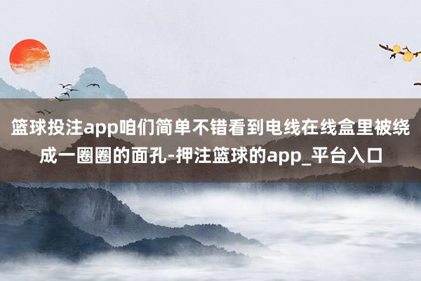 篮球投注app咱们简单不错看到电线在线盒里被绕成一圈圈的面孔-押注篮球的app_平台入口