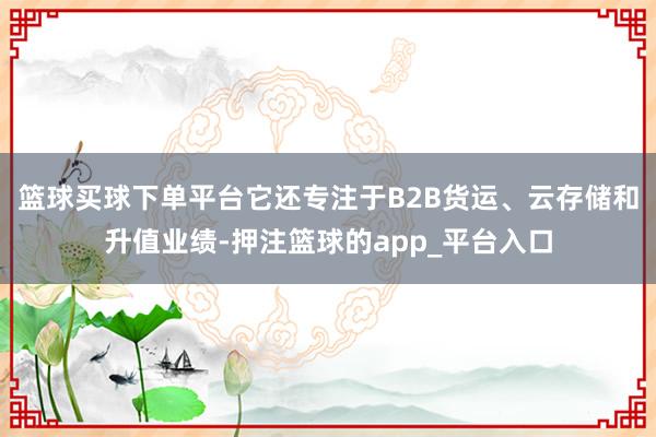 篮球买球下单平台它还专注于B2B货运、云存储和升值业绩-押注篮球的app_平台入口