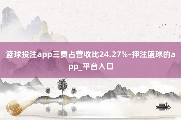 篮球投注app三费占营收比24.27%-押注篮球的app_平台入口