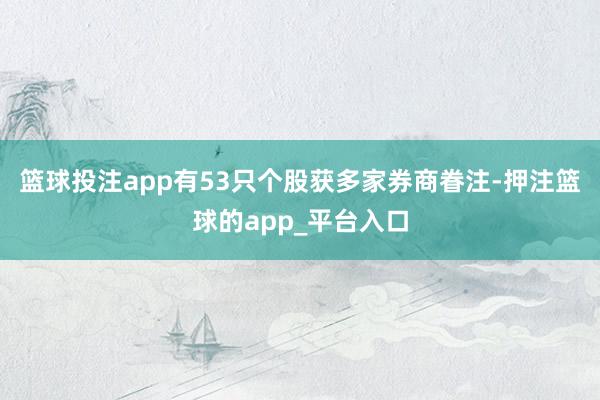 篮球投注app有53只个股获多家券商眷注-押注篮球的app_平台入口