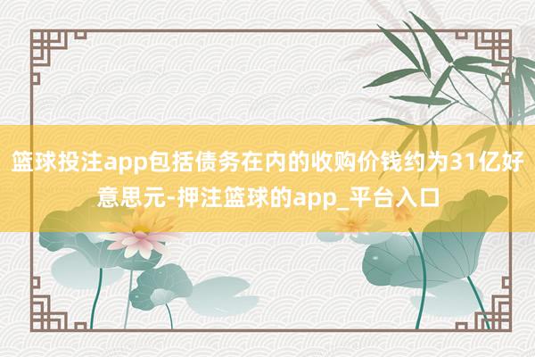 篮球投注app包括债务在内的收购价钱约为31亿好意思元-押注篮球的app_平台入口