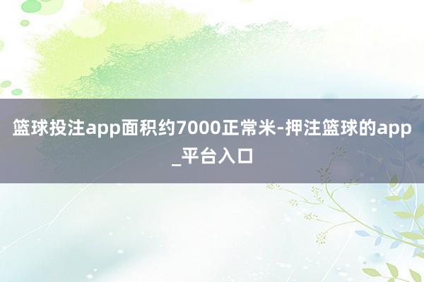 篮球投注app面积约7000正常米-押注篮球的app_平台入口