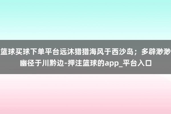 篮球买球下单平台远沐猎猎海风于西沙岛；多辟渺渺幽径于川黔边-押注篮球的app_平台入口