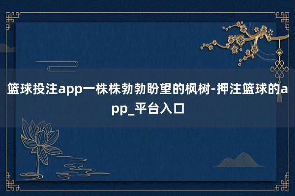 篮球投注app一株株勃勃盼望的枫树-押注篮球的app_平台入口