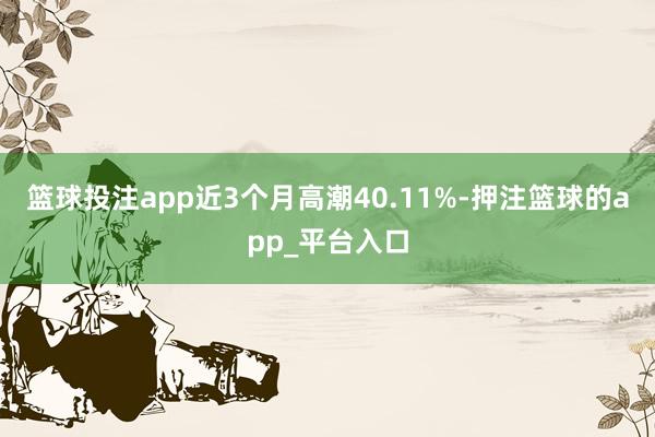 篮球投注app近3个月高潮40.11%-押注篮球的app_平台入口