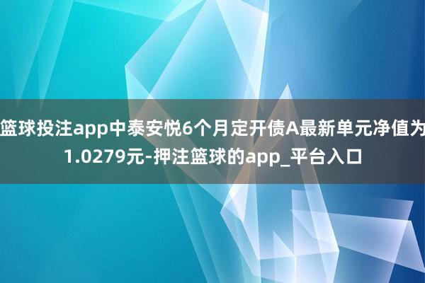 篮球投注app中泰安悦6个月定开债A最新单元净值为1.0279元-押注篮球的app_平台入口