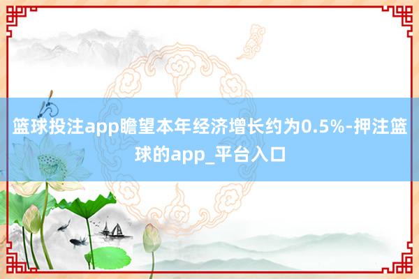 篮球投注app瞻望本年经济增长约为0.5%-押注篮球的app_平台入口