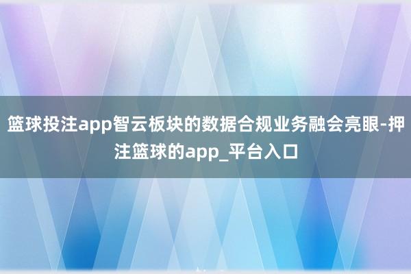 篮球投注app智云板块的数据合规业务融会亮眼-押注篮球的app_平台入口