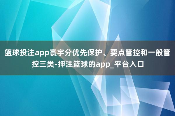 篮球投注app寰宇分优先保护、要点管控和一般管控三类-押注篮球的app_平台入口